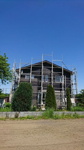 image (12)